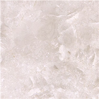 Coconut Beige Marble