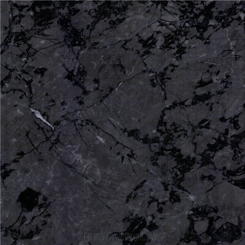 Starry Grey Marble importance=