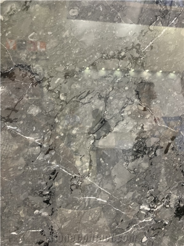 Starry Grey Marble Slab