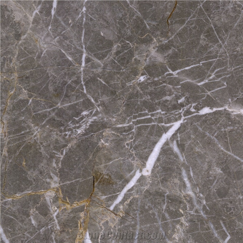 Vena Grey Marble importance=