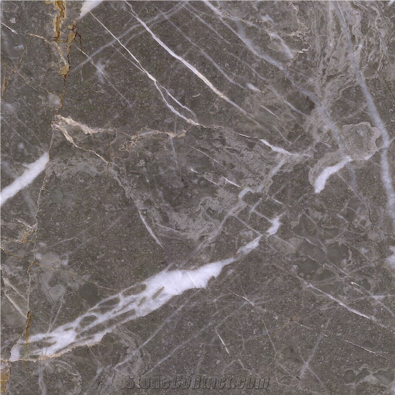 Vena Grey Marble Tile