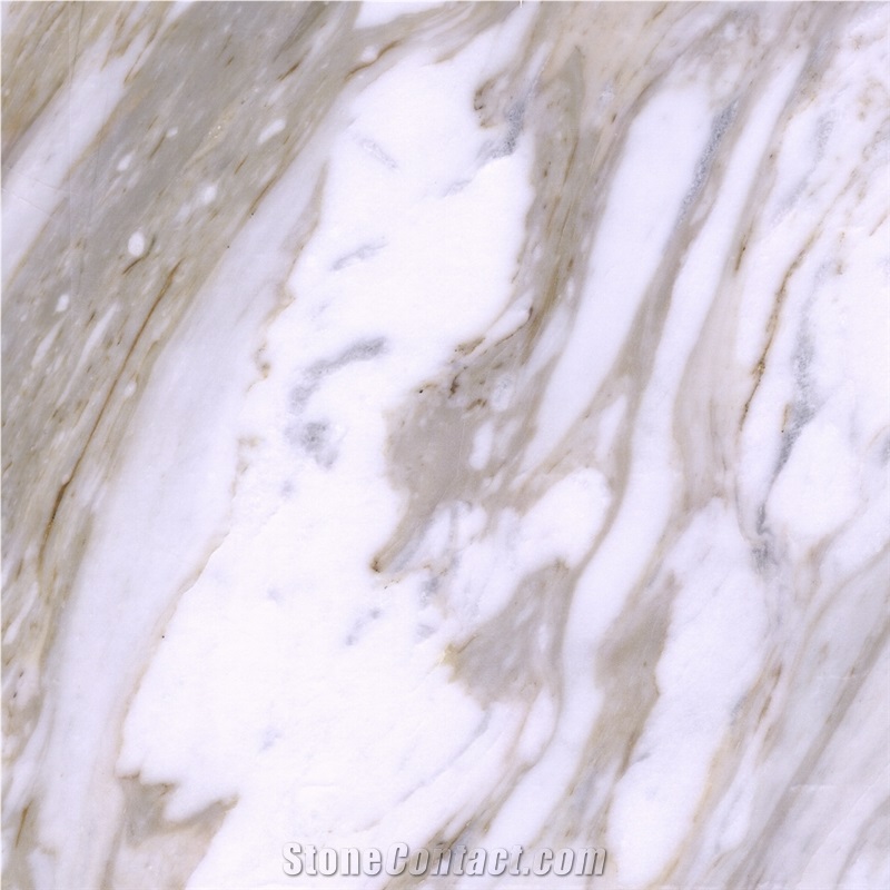 Volakas Calacatta Marble importance=