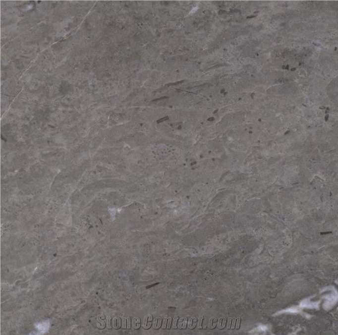 Grey Khenifra Marble Slabs & Tiles