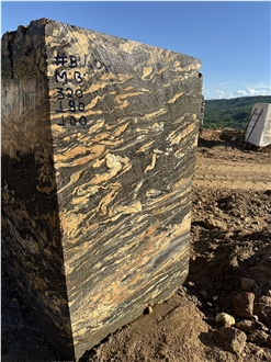 Magma Gold Granite Blocks