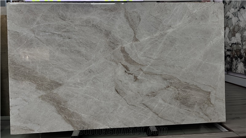 DMD New Branco Taj Mahal Quartzite Slabs Collections