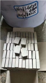 Multi-Blade Segment For Sandstone Cutting