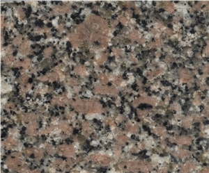 Rosa Hoody Granite Rosa Hoody Granite