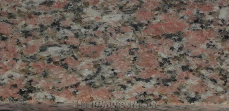 Rosa Hoody Granite