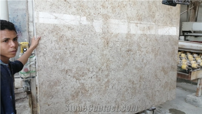 Katreen Marble Slabs, Marble Tiles