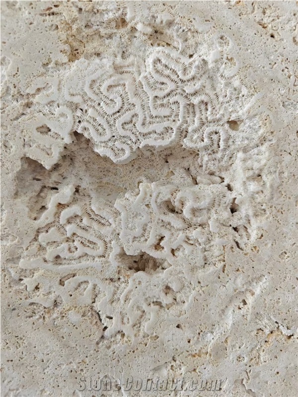 Calypso Coral Stone Tiles, Slabs