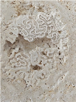 Calypso Coral Stone Tiles, Slabs