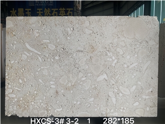 Calypso Coral Stone Tiles, Slabs