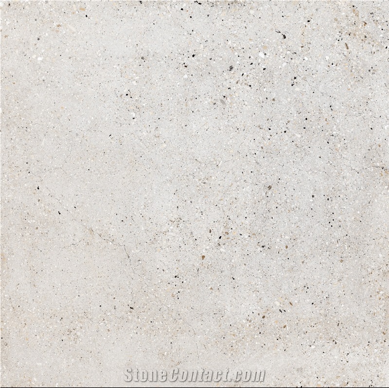 Persian Shark  Porcelain Tiles