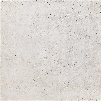 Persian Shark  Porcelain Tiles