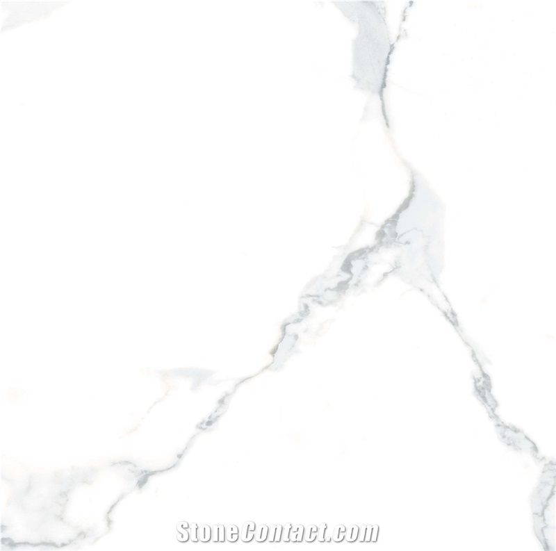 Persian Silvia  Porcelain Tiles