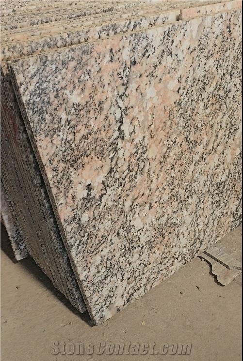 Exotic Alaska Multicolor Granite Slabs