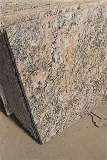 Exotic Alaska Multicolor Granite Slabs Exotic Alaska Multicolor Granite Slabs