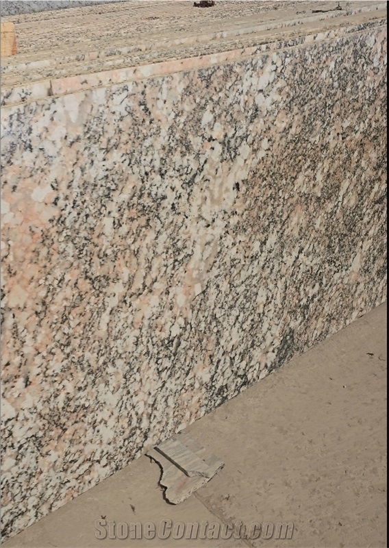 Exotic Alaska Multicolor Granite Slabs