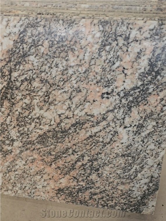 Exotic Alaska Multicolor Granite Slabs