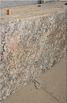Exotic Alaska Multicolor Granite Slabs
