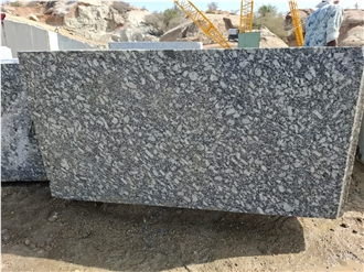 P White Granite Slabs