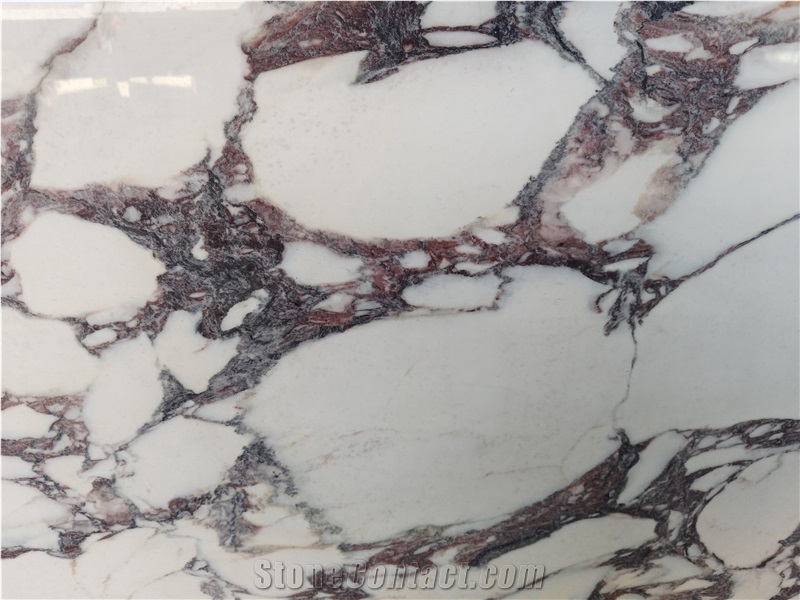 Calacatta Viola Sintered Stone  Slabs