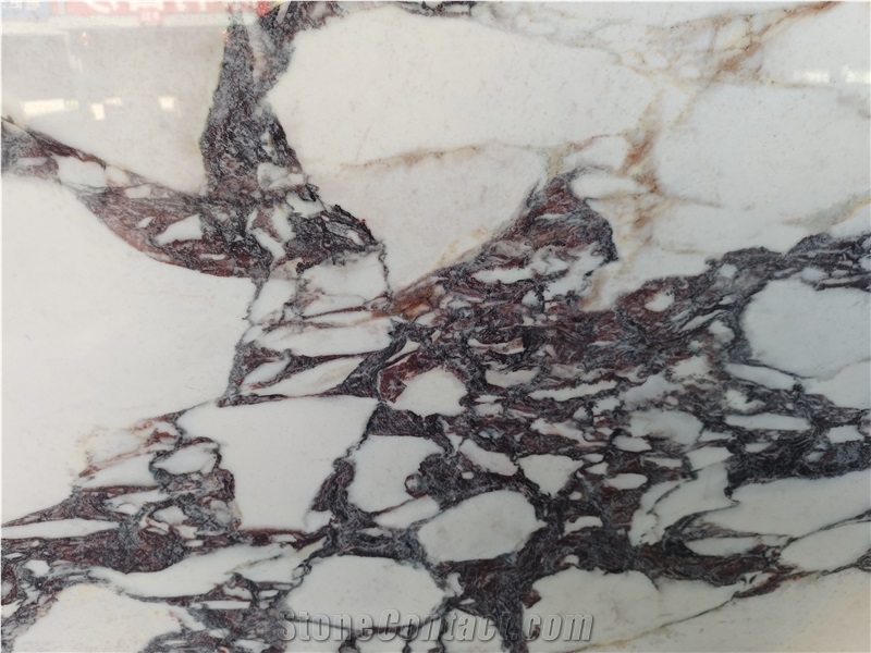 Calacatta Viola Sintered Stone  Slabs