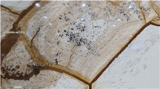 Stone Wood Quartzite Slabs For Feature Wall Living Room