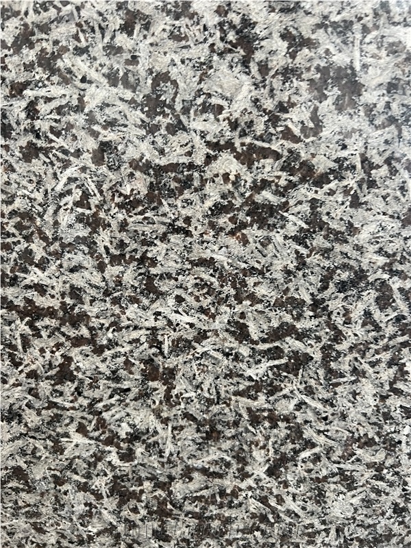 Cinzento Monchique Granite Slabs