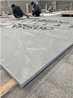 Granite Waterjet Medallions Pattern Logo Outside Flooring