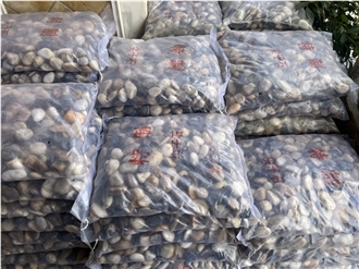 Stone Natural Cobble Pavers Pebble For Outside Pavement