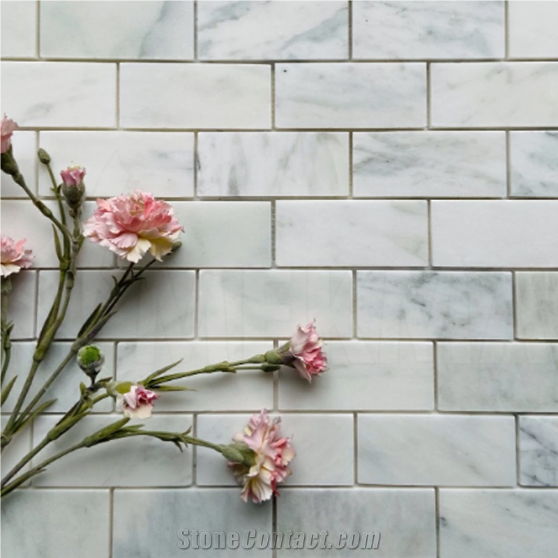 Marble Mosaic Mp-W-51
