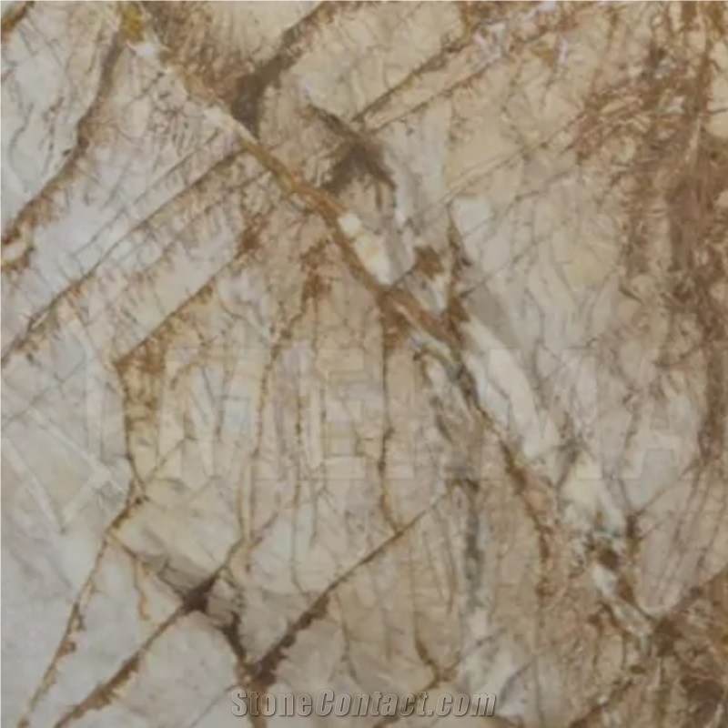 Siena Gold Marble Slab Tiles