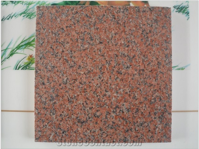 China G386 Calca Red Granite Tiles