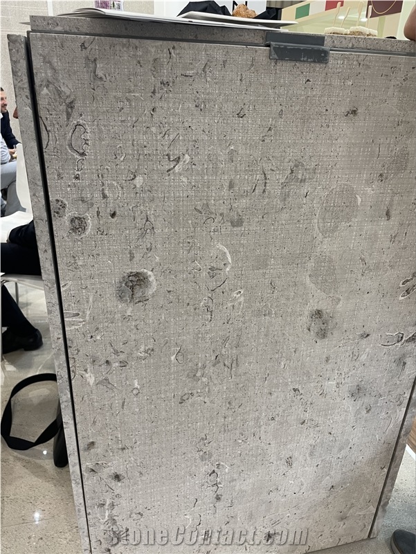 Aurisina Fiorita Limestone Slab