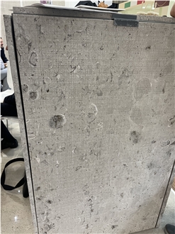 Aurisina Fiorita Limestone Slab