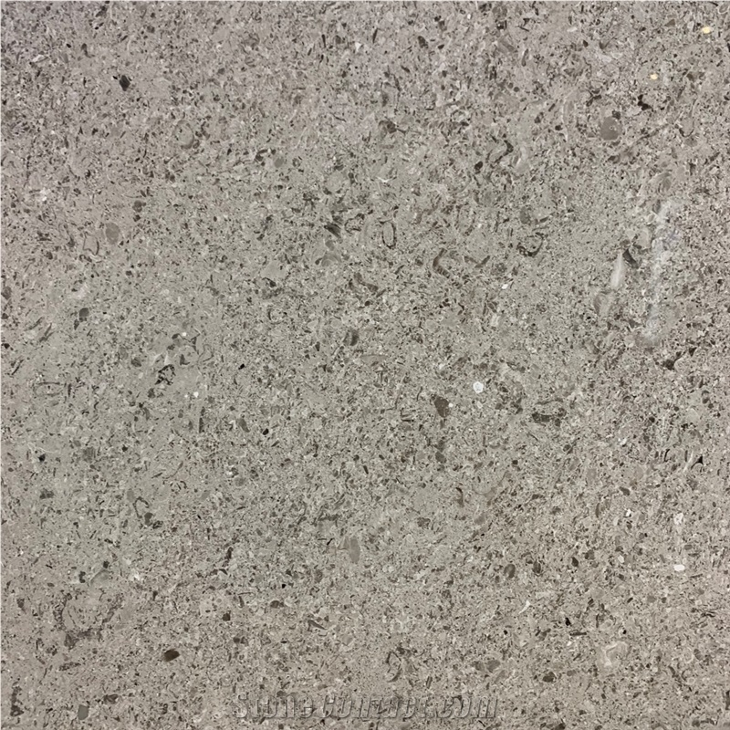 Aurisina Granitello Limestone Tile