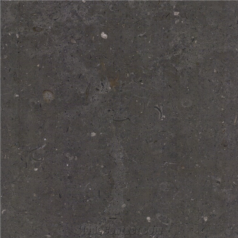 Azul Porto Limestone importance=