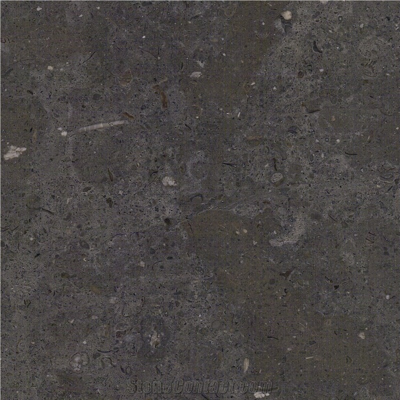 Azul Porto Limestone Tile