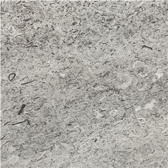 Fior di Mare Limestone