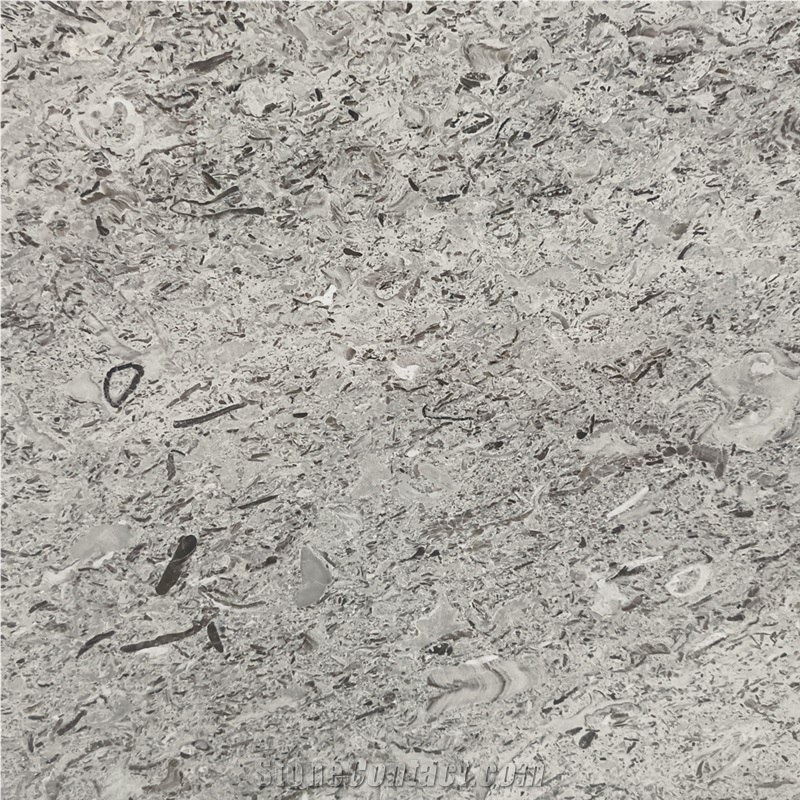 Fior di Mare Limestone Tile