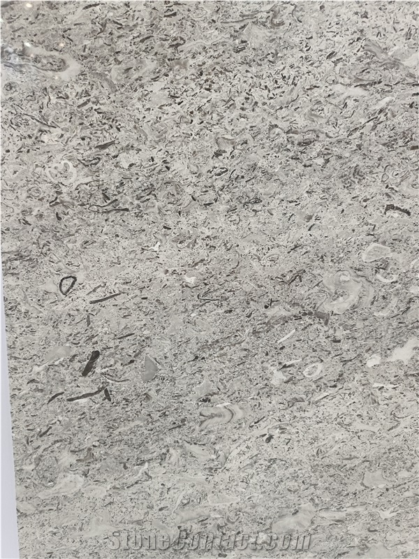 Fior di Mare Limestone Slab