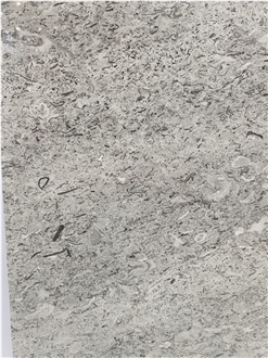Fior di Mare Limestone Slab