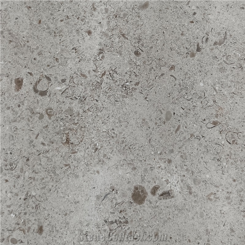 Gascogne Beige Limestone Tile