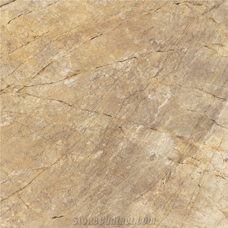 Golden Ivy Marble Tile
