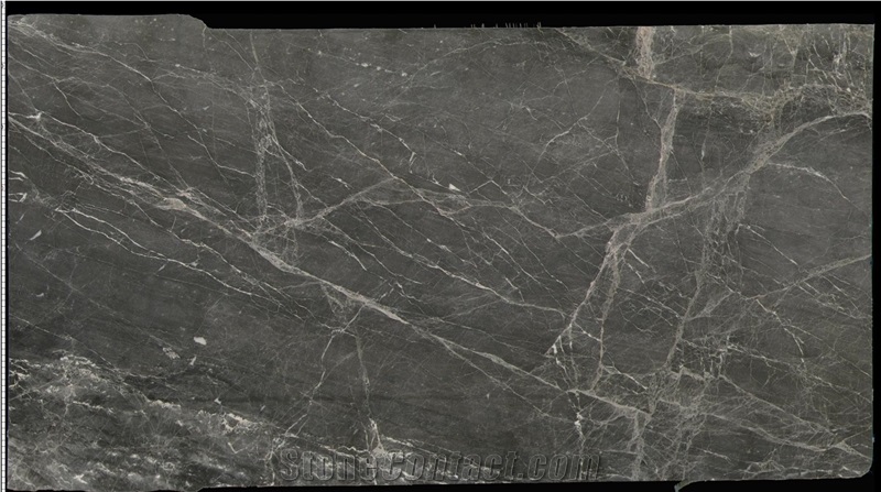 Hermes Gray Marble Slab