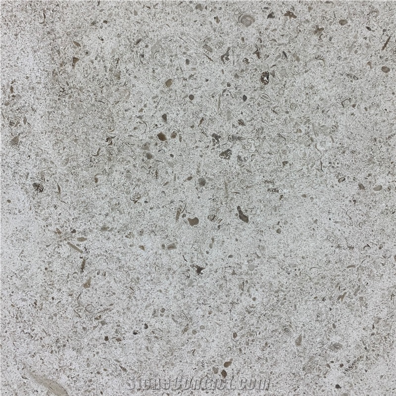 Moleanos M6 Limestone Tile