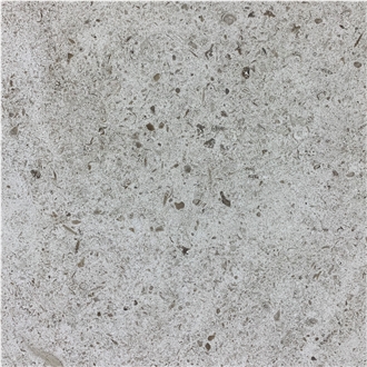 Moleanos M6 Limestone Tile
