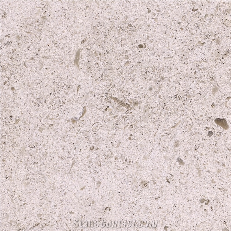 Moleanos M6 Limestone Tile