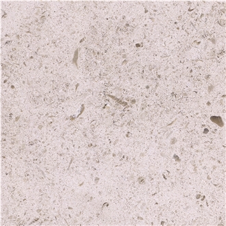 Moleanos M6 Limestone Tile